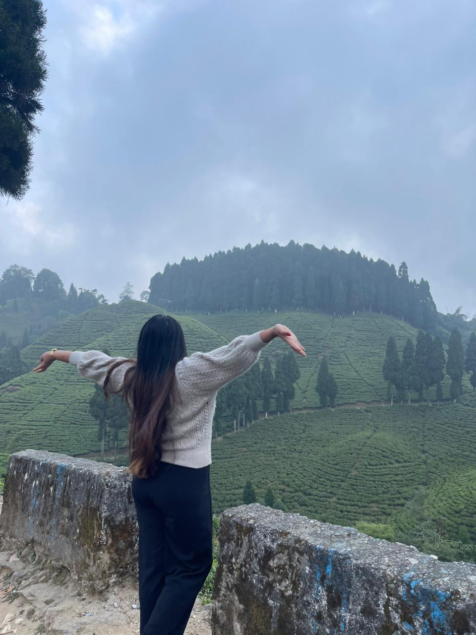 Gopal Dhara tea garden landscape near Soureni