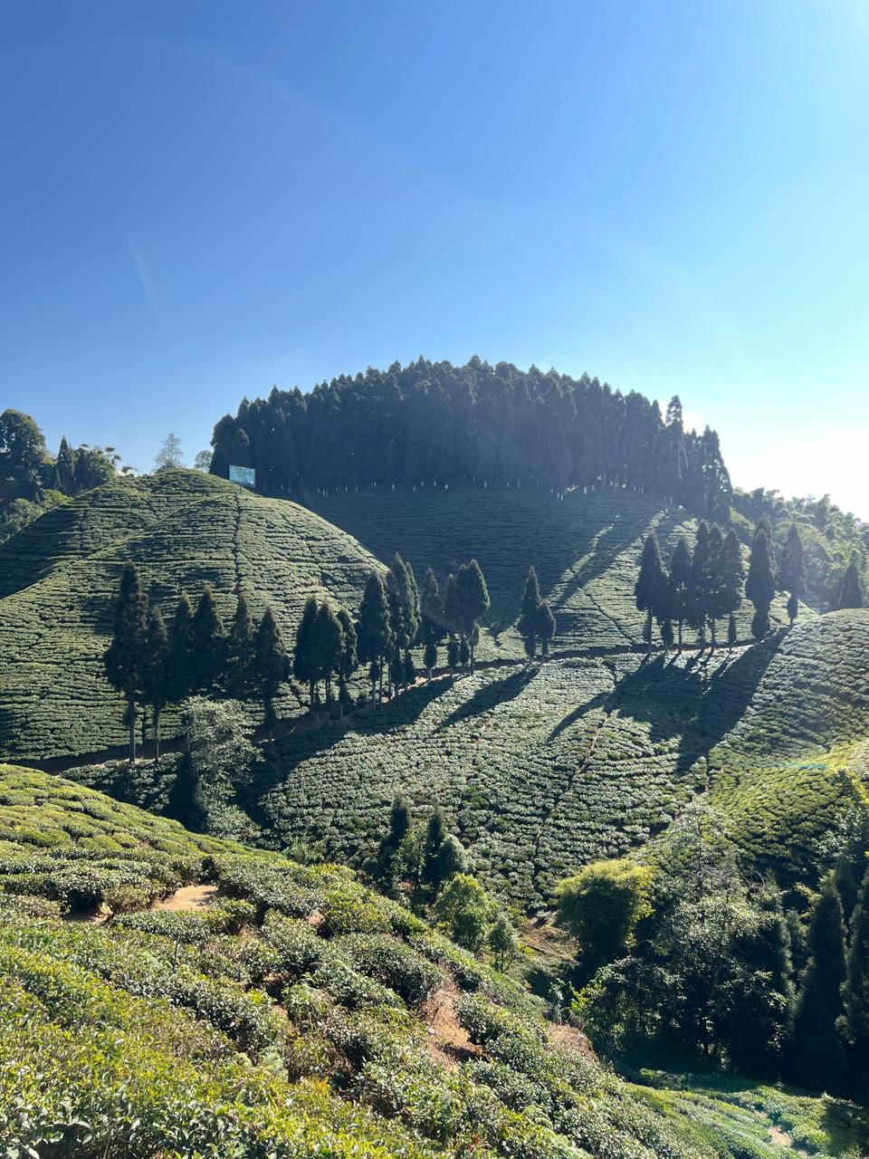 Morning view at Mirik Lake near Chandrakala Homestay