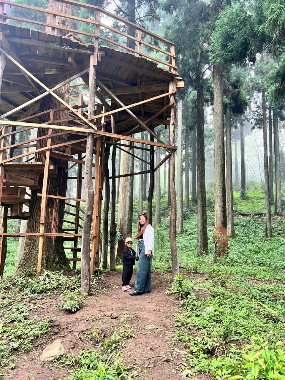 Flower garden and greenery around the homestay locality